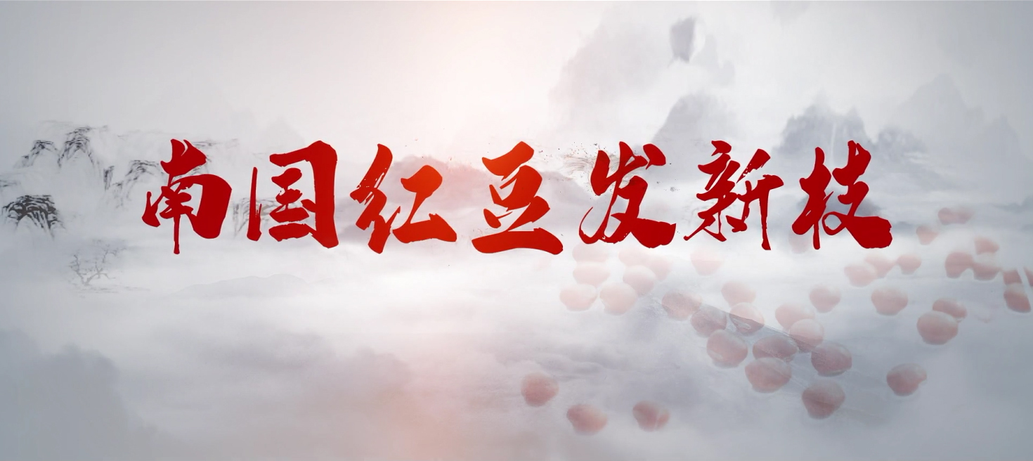 南国k8凯发发新枝