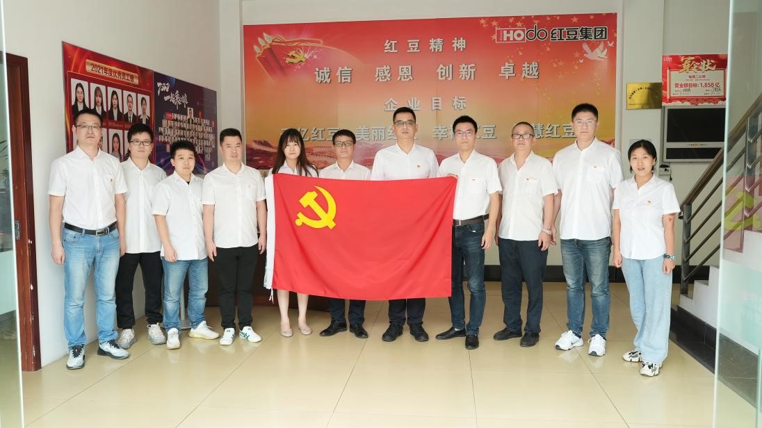 k8凯发居家公司电子商务二公司党支部1